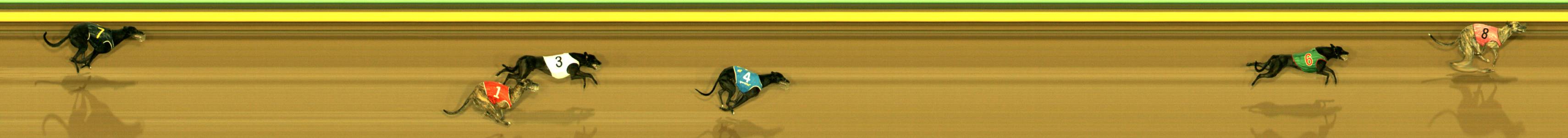 Race result finish photo